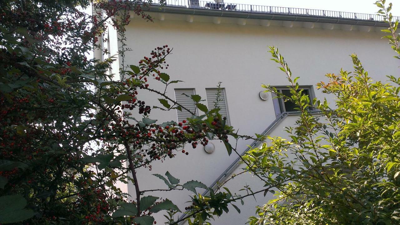 شقة Petite Bellevue II بادن بادن المظهر الخارجي الصورة